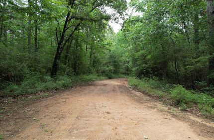 Land for sale in Shelby County, Texas