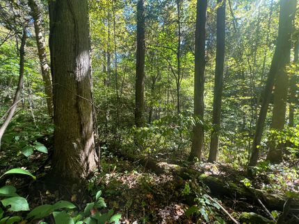 Land for sale in Powell County, Kentucky