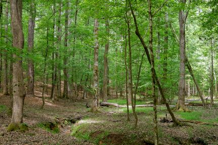 Farm and Ranch for sale in Putnam County, Georgia