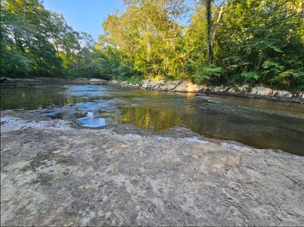Land for sale in Dale County, Alabama