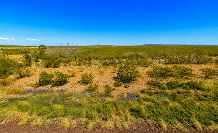 Farm and Ranch for sale in Hudspeth County, Texas