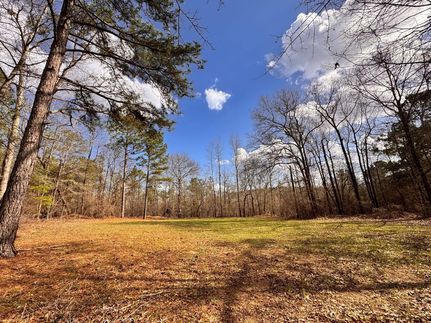 Recreational Property for sale in Chattahoochee County, Georgia