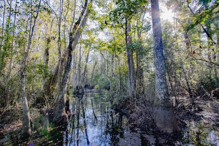 Farm and Ranch for sale in Holmes County, Florida