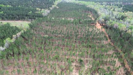 Undeveloped Land for sale in Randolph County, Georgia