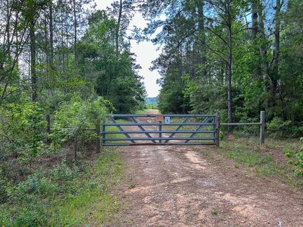 Undeveloped Land for sale in San Augustine County, Texas
