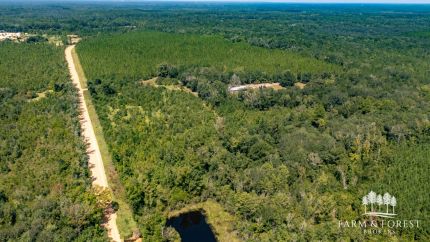 Timberland Property for sale in Washington County, Florida