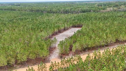 Farm and Ranch for sale in Appling County, Georgia