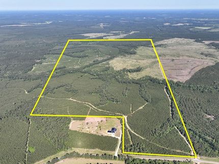 Land for sale in Trinity County, Texas