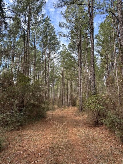 Farm and Ranch for sale in Covington County, Alabama