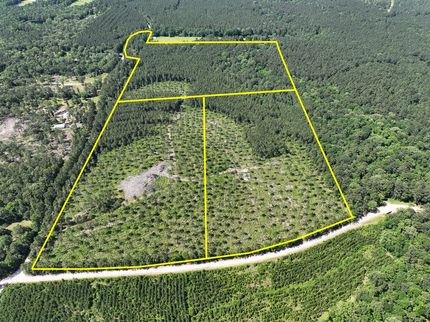 Land for sale in Trinity County, Texas