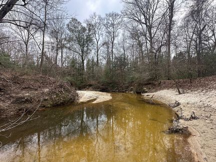 Land for sale in Choctaw County, Alabama