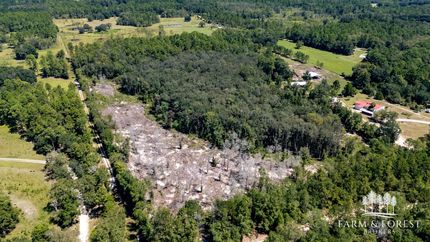 Land for sale in Holmes County, Florida