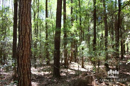 Hunting Property for sale in Holmes County, Florida