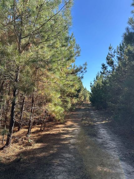 Timberland Property for sale in Barbour County, Alabama