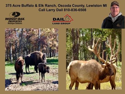 Recreational Property for sale in Oscoda County, Michigan