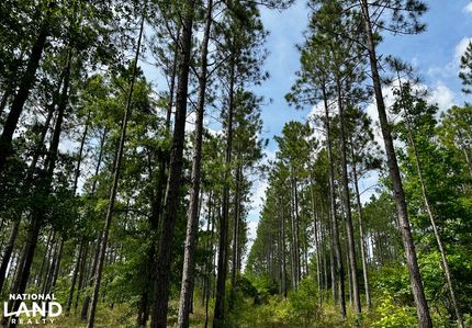 Timberland Property for sale in Telfair County, Georgia