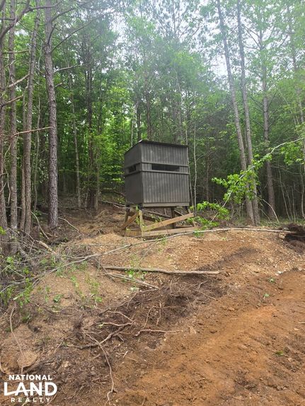 Timberland Property for sale in Fayette County, Alabama