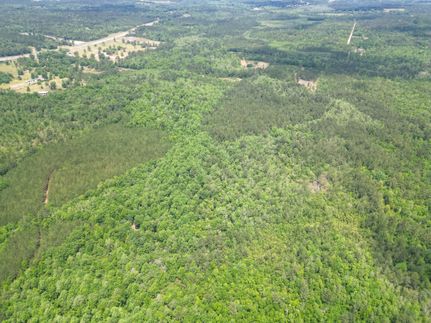 Farm and Ranch for sale in Washington County, Florida