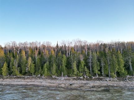 Farm and Ranch for sale in Cheboygan County, Michigan