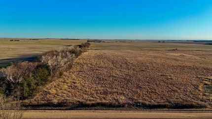 Timberland Property for sale in Pratt County, Kansas