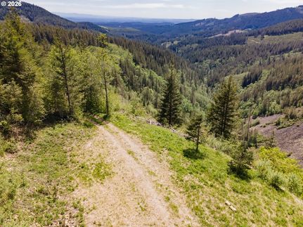 Land for sale in Skamania County, Washington