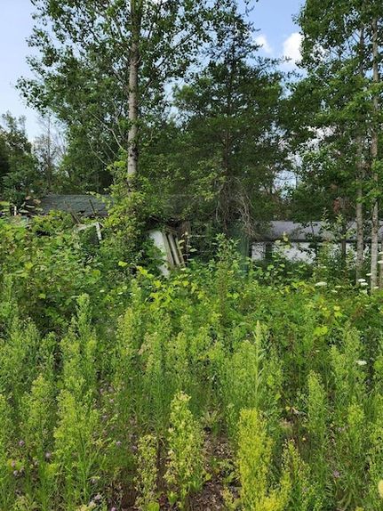 Farm and Ranch for sale in Lake County, Michigan