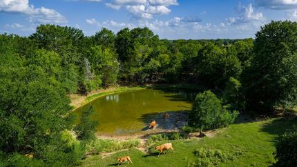 Timberland Property for sale in Bastrop County, Texas