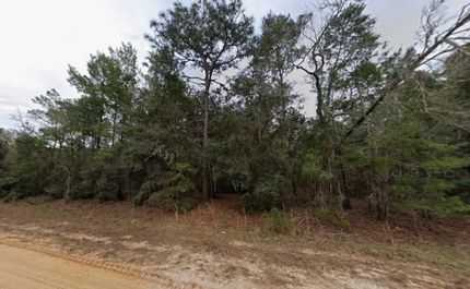Timberland Property for sale in Putnam County, Florida