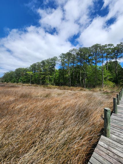 Commercial Property in Carteret County, North Carolina