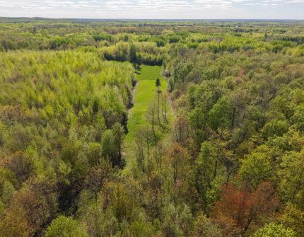 Farm and Ranch for sale in Price County, Wisconsin