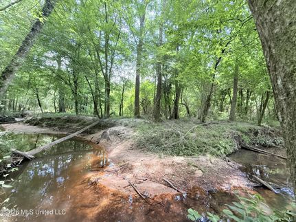 Lakefront Property for sale in Lincoln County, Mississippi