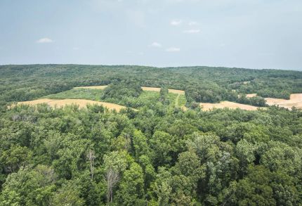 Hunting Property for sale in Gallatin County, Illinois