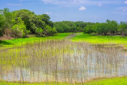Timberland Property for sale in La Salle County, Texas