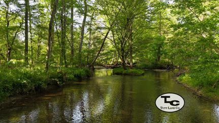 Riverfront Property for sale in Lincoln County, Tennessee