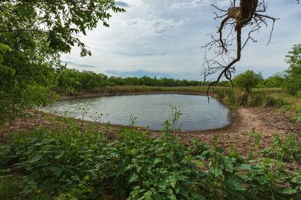 Farm and Ranch for sale in Shackelford County, Texas