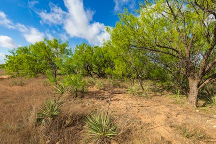 Undeveloped Land for sale in Haskell County, Texas