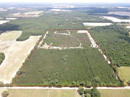 Timberland Property for sale in Jackson County, Florida