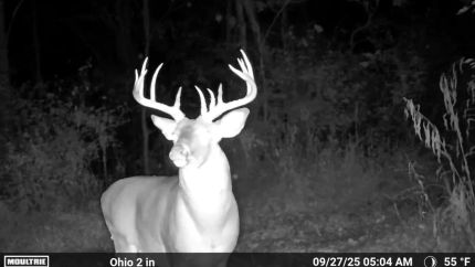 Farm and Ranch for sale in Brown County, Ohio