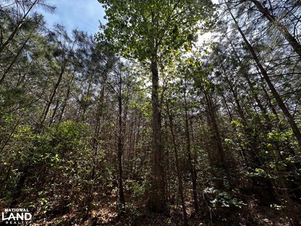 Farm and Ranch for sale in Mathews County, Virginia