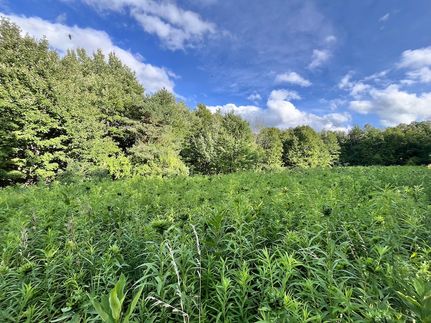 Land for sale in Chemung County, New York