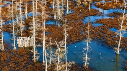 Farm and Ranch for sale in Monroe County, Arkansas
