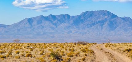 Farm and Ranch in Valencia County, New Mexico