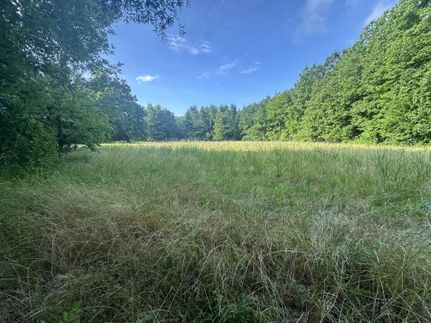 Farm and Ranch for sale in Holmes County, Mississippi