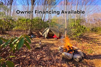Farm and Ranch for sale in Ashe County, North Carolina