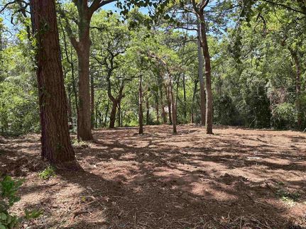 Undeveloped Land for sale in Smith County, Texas