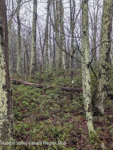 Recreational Property for sale in Ulster County, New York