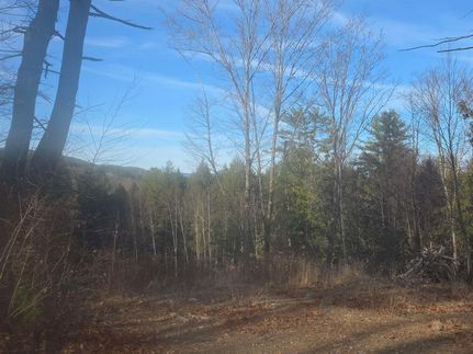 Timberland Property for sale in Windsor County, Vermont