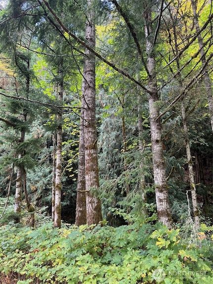 Farm and Ranch for sale in Lewis County, Washington