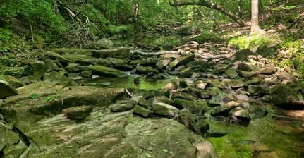 Farm and Ranch for sale in Walker County, Alabama