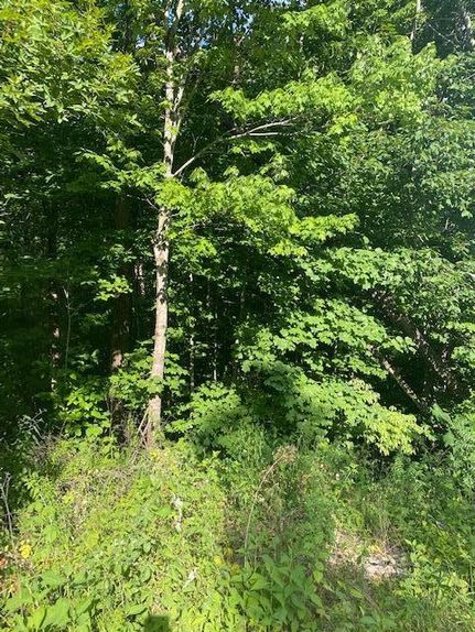 Land for sale in Overton County, Tennessee